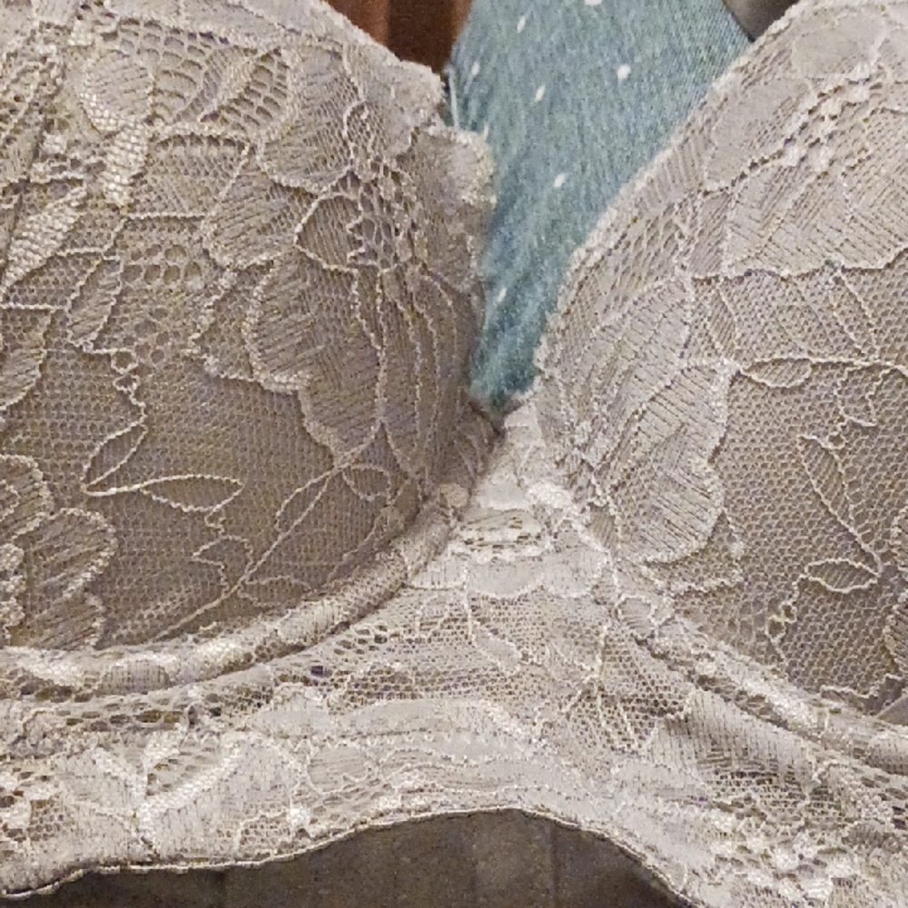 Gray Underwire Lace Women's Bra 38B - Picture 3 of 3
